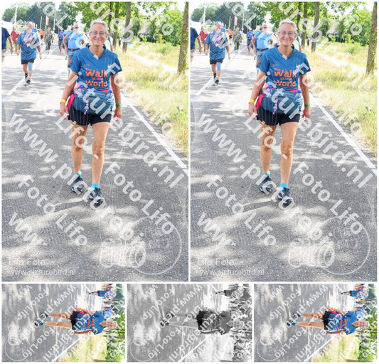 Evenement foto: Nijmeegse Vierdaagse 641