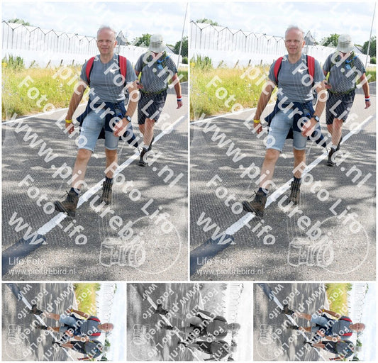 Evenement foto: Nijmeegse Vierdaagse 640