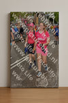 Evenement foto: Nijmeegse Vierdaagse 774
