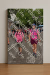 Evenement foto: Nijmeegse Vierdaagse 774