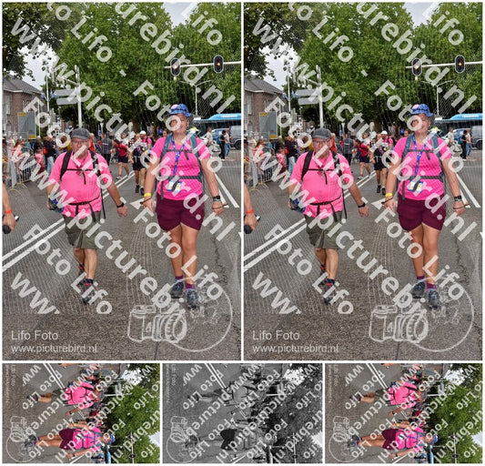 Evenement foto: Nijmeegse Vierdaagse 774