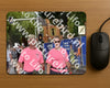 Evenement foto: Nijmeegse Vierdaagse 774