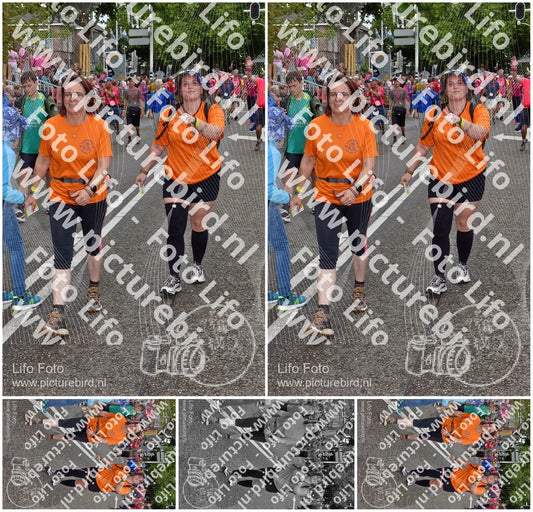 Evenement foto: Nijmeegse Vierdaagse 774
