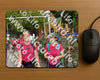 Evenement foto: Nijmeegse Vierdaagse 774