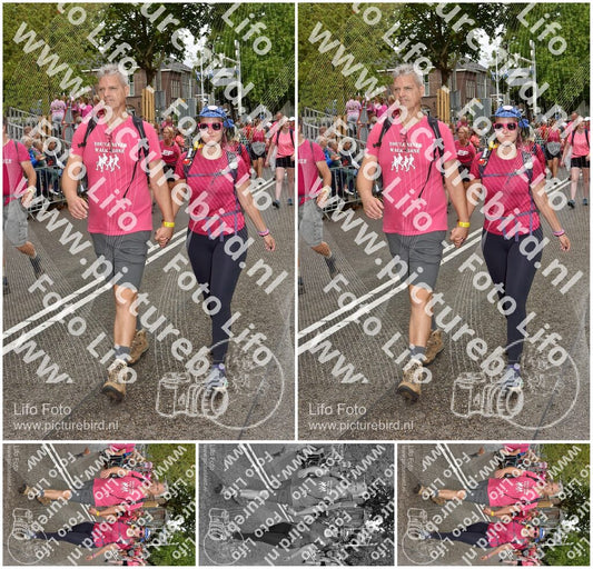 Evenement foto: Nijmeegse Vierdaagse 774