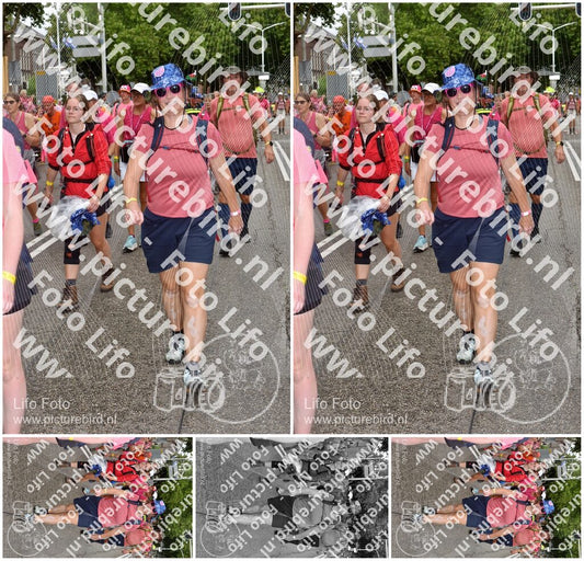 Evenement foto: Nijmeegse Vierdaagse 774