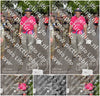 Evenement foto: Nijmeegse Vierdaagse 774