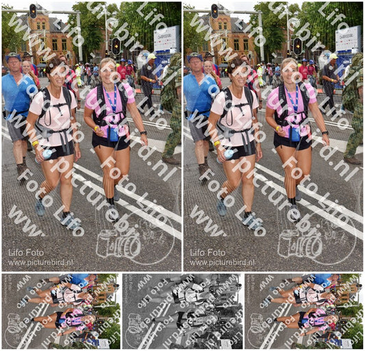 Evenement foto: Nijmeegse Vierdaagse 774