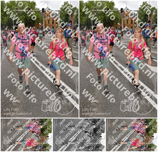 Evenement foto: Nijmeegse Vierdaagse 774