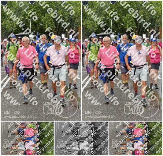 Evenement foto: Nijmeegse Vierdaagse 774