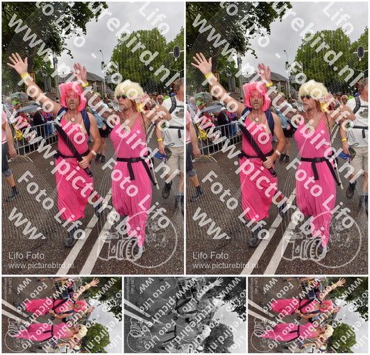 Evenement foto: Nijmeegse Vierdaagse 774