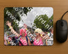 Evenement foto: Nijmeegse Vierdaagse 774