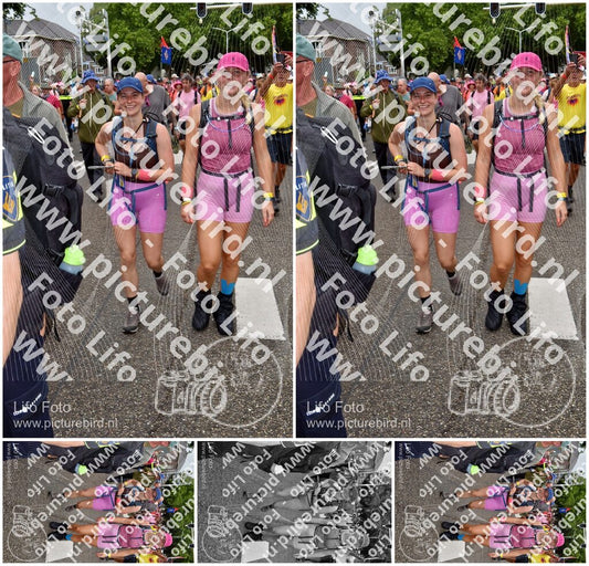 Evenement foto: Nijmeegse Vierdaagse 774