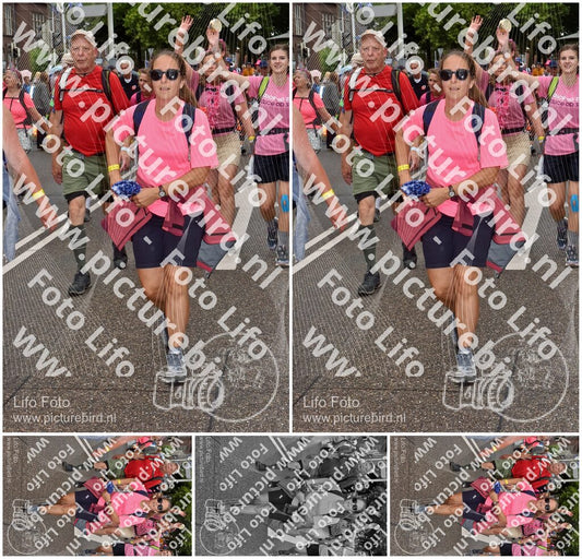 Evenement foto: Nijmeegse Vierdaagse 774