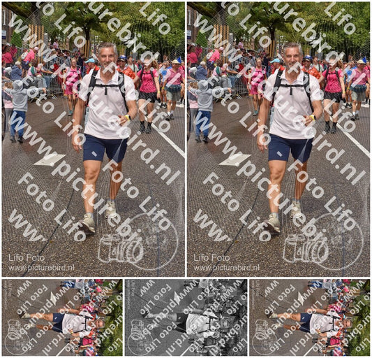 Evenement foto: Nijmeegse Vierdaagse 773
