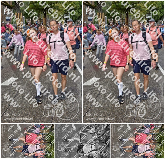 Evenement foto: Nijmeegse Vierdaagse 773