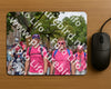 Evenement foto: Nijmeegse Vierdaagse 773