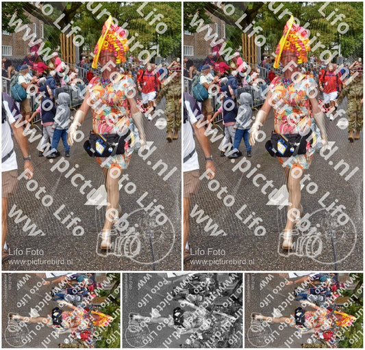 Evenement foto: Nijmeegse Vierdaagse 773