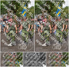 Evenement foto: Nijmeegse Vierdaagse 773