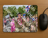 Evenement foto: Nijmeegse Vierdaagse 773