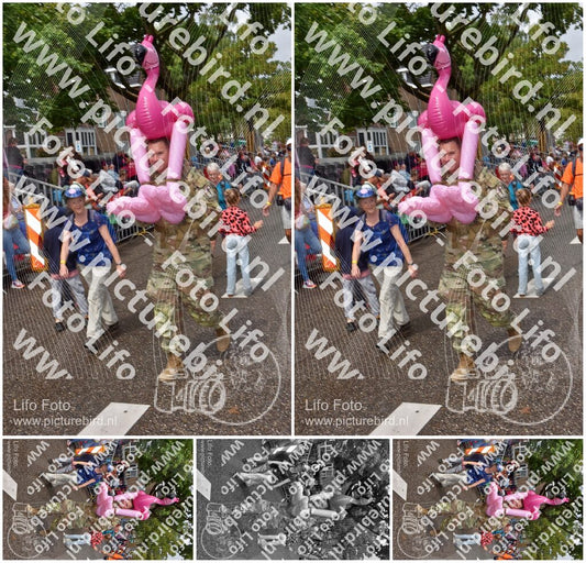 Evenement foto: Nijmeegse Vierdaagse 773