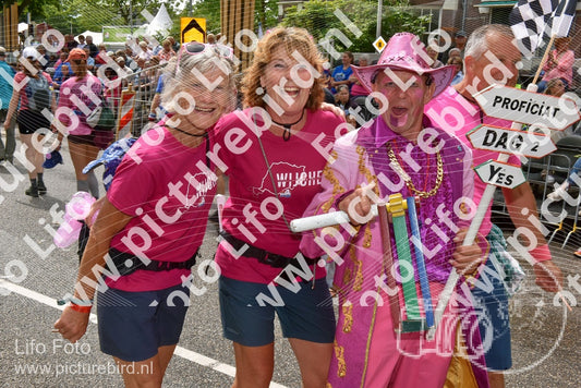 Evenement foto: Nijmeegse Vierdaagse 773