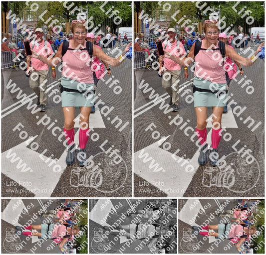 Evenement foto: Nijmeegse Vierdaagse 773