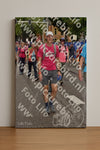 Evenement foto: Nijmeegse Vierdaagse 773