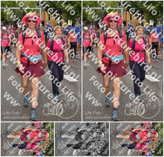 Evenement foto: Nijmeegse Vierdaagse 773