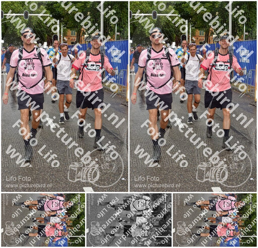 Evenement foto: Nijmeegse Vierdaagse 773