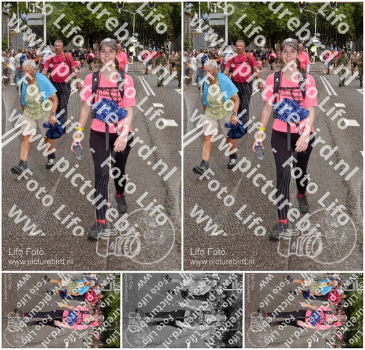 Evenement foto: Nijmeegse Vierdaagse 773