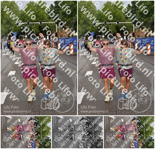 Evenement foto: Nijmeegse Vierdaagse 773