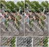 Evenement foto: Nijmeegse Vierdaagse 773
