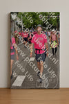 Evenement foto: Nijmeegse Vierdaagse 773