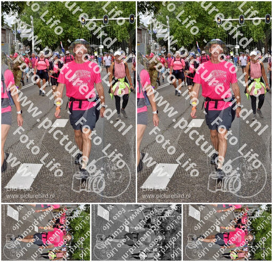 Evenement foto: Nijmeegse Vierdaagse 773
