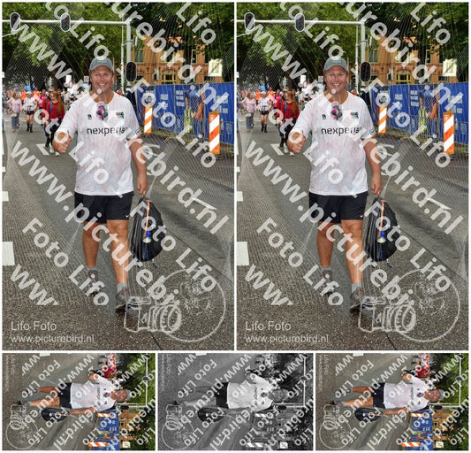 Evenement foto: Nijmeegse Vierdaagse 773