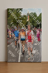 Evenement foto: Nijmeegse Vierdaagse 772