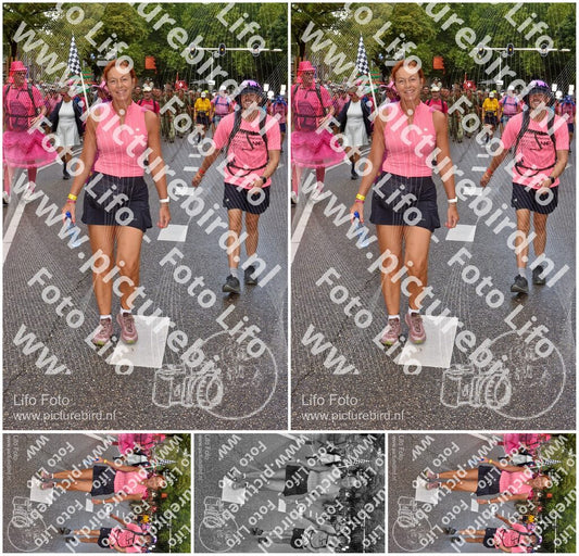 Evenement foto: Nijmeegse Vierdaagse 772
