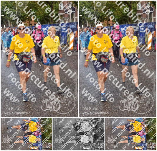 Evenement foto: Nijmeegse Vierdaagse 772