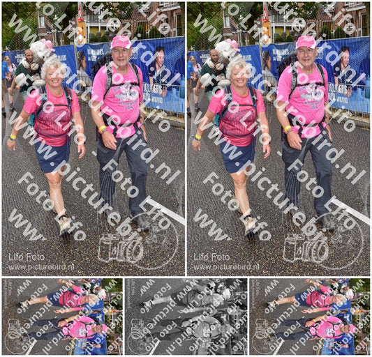 Evenement foto: Nijmeegse Vierdaagse 772