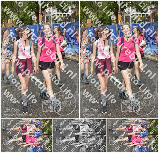 Evenement foto: Nijmeegse Vierdaagse 772
