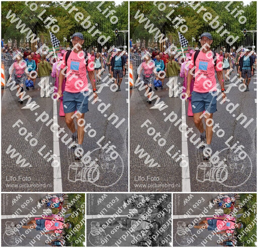 Evenement foto: Nijmeegse Vierdaagse 772