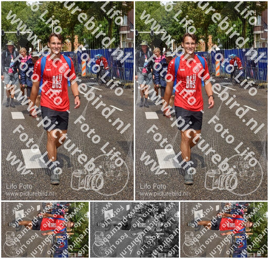 Evenement foto: Nijmeegse Vierdaagse 772