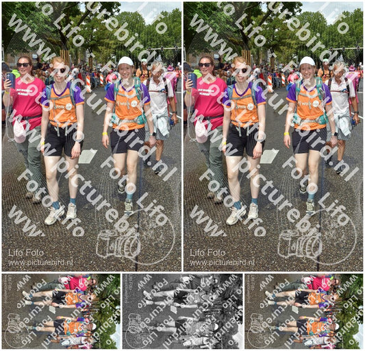 Evenement foto: Nijmeegse Vierdaagse 772