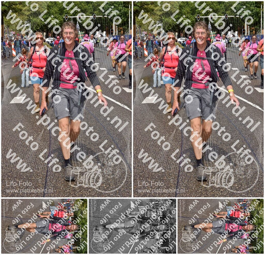 Evenement foto: Nijmeegse Vierdaagse 772