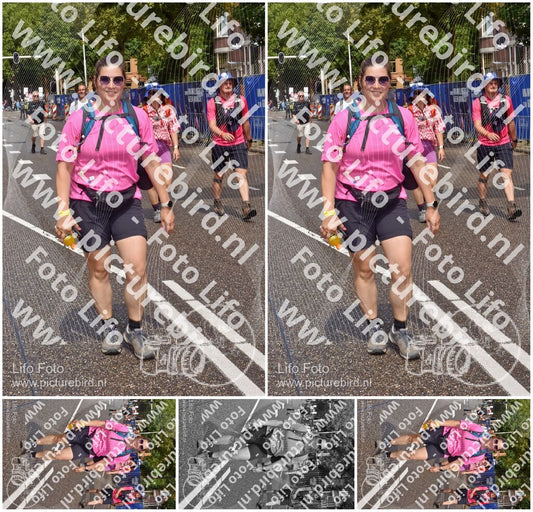 Evenement foto: Nijmeegse Vierdaagse 772