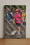 Evenement foto: Nijmeegse Vierdaagse 772