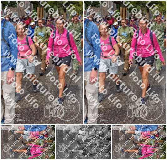 Evenement foto: Nijmeegse Vierdaagse 772