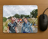 Evenement foto: Nijmeegse Vierdaagse 761