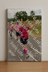Evenement foto: Nijmeegse Vierdaagse 761